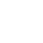 Garden Waste Removal Stockwell SW8